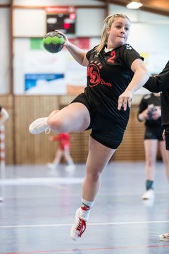 Bild 125 - F HSG Kremperheide/Muensterdorf - Slesvig IF 2 : Ergebnis: 30:26